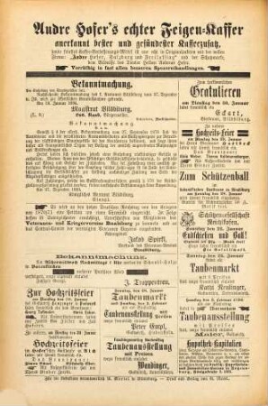 Vilsbiburger Anzeiger : Heimatblatt für Vilsbiburg, Geisenhausen, Gerzen, Frontenhausen, Velden. 1894 = Jg. 19
