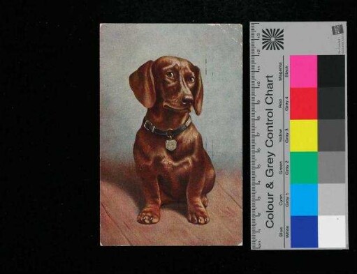 Postkarte an Anna Kannengiesser