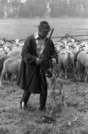 Verein für deutsche Schäferhunde e.V. Ortsgruppe Neureut. Badisches Leistungshüten