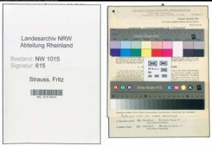 Entnazifizierung Fritz Strauss , geb. 27.09.1902 (Abteilungsleiter)
