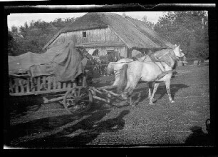 Zweispänniger Leiterwagen vor einer reetgedeckten Scheune