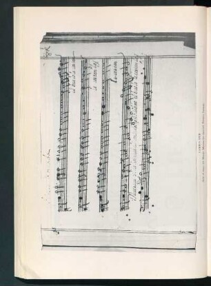 Lámina XVIII.