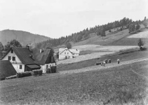 Bestellung der Bergwiesen : Bestellung der Bergwiesen in der Nähe der Kirche von Nove Hamry