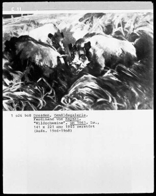 Wildschweine