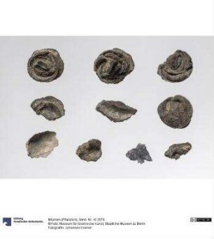 Bitumen (Pflanzlich)