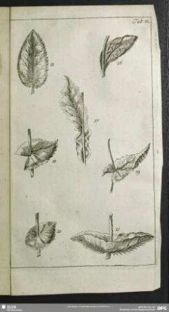 Tab. 32.