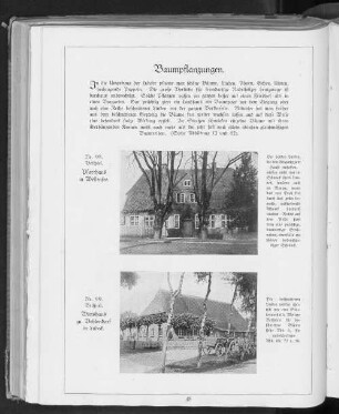 Baumpflanzungen.