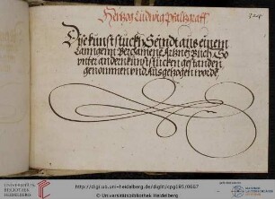 Pfalzgraf Ludwig VI., Rezeptsammlung (nach Konfektionen geordnet; 93 Rezepte)