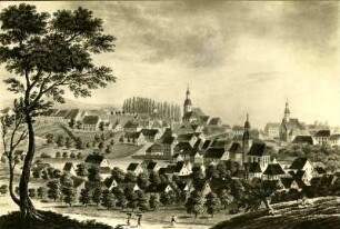 Pirmasens: Farbiger Stich. 19. Jh.