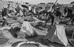Gerberei und Färberei : Gerberei und Färberei vermutlich in Kano