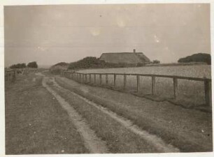 Kampen, Wegmotiv : Blick auf einen Weg zur Ortschaft Kampen