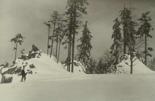 Erzgebirge. Lugstein bei Zinnwald-Georgenfeld