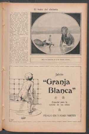 El baño del elefante