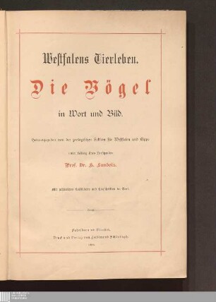 2: Die Vögel