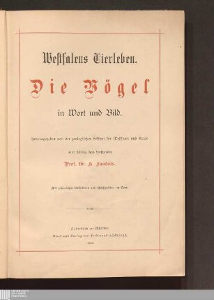 2: Die Vögel