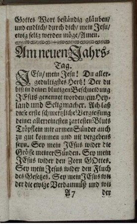 Am neuen Jahrs-Tag