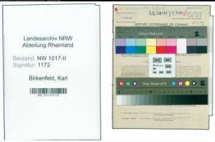 Entnazifizierung Karl Birkenfeld , geb. 02.05.1906 (Fabrikant)