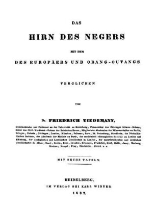 Das Hirn des Negers mit dem des Europäers und Orang-Outangs verglichen