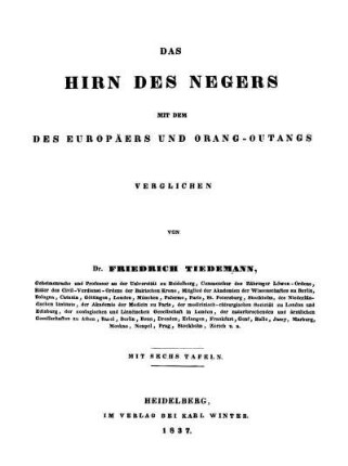 Das Hirn des Negers mit dem des Europäers und Orang-Outangs verglichen