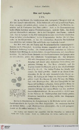 Blut und Lymphe