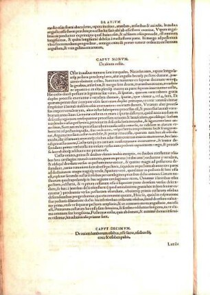 Capvt Decimvm, De auium lumborum ossibus, osse sacro, ossibus ilij, coxa & ossibus pubis.