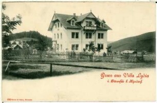 Bärenfels. Villa Lydia