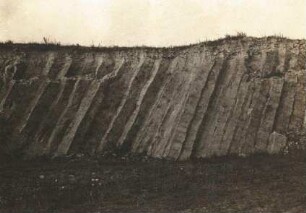 Wald-Oppelsdorf (Opolno Zdroj). Phonolith in Säulen