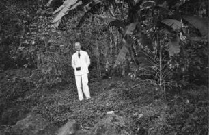 Reisefotos. Tourist mit umgehängtem Fotoapparat im Urwald mit Bananenstaude (vielleicht in Mexiko)