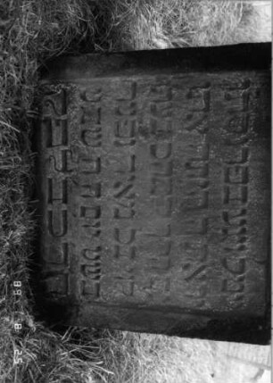 Grabstein 53 (Index: 100108145) Material: gelber Sandstein Zustand: verwittert, bewachsen, versalzen Maße HxBxT: 87x52x11 cm Beschreibung: Stele mit geschwungenem eingezogenem Rundbogenabschluß, Schriftfeld rechteckig eingetieft Besonderheit: kulturhistorisch wertvoll / hist.-wiss. Gründe (Gemeindestellung): Grabstein 53B