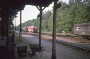 Groß Behnitz Schublok 219 060 Nahverkehrszug B-RN