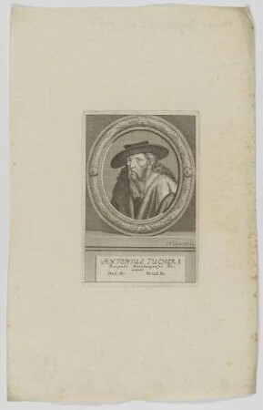 Bildnis des Antonius Tucher I.
