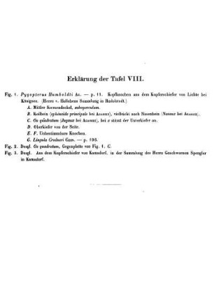Erklärung der Taf. VIII.
