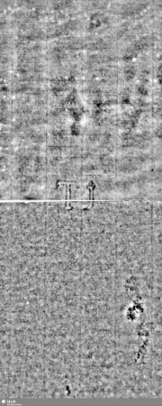 Lilie / Tj = S.13/14+17/18