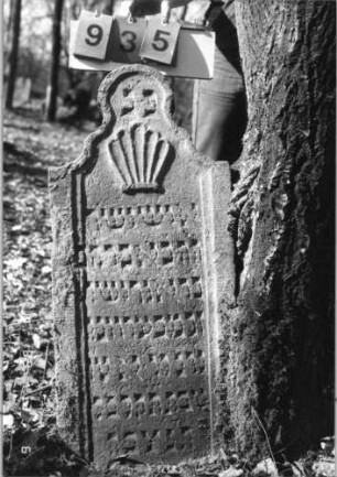 Grabstein 935 (Index: 99753176) Material: Sandstein Zustand: leicht verwittert Maße HxBxT: 94x42x12 cm Beschreibung: Stele, geschwungen eingezogener Rundbogenabschluß, Schriftfeld eingetieft Symbolik: Muschel Besonderheit: über Schriftfeldrand hinaus geschrieben: Grabstein 935