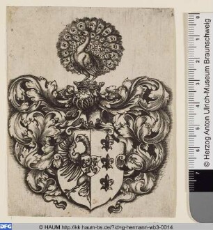 Wappen mit einem Pfau als Helmzier