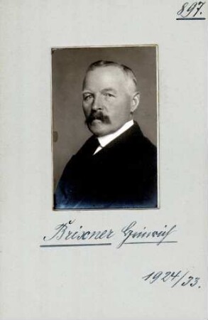 Brixner, Heinrich, DVP