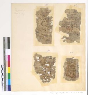 Verses from the Psalmodia