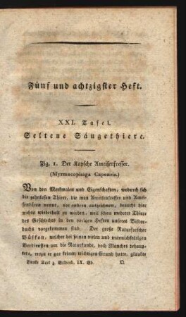 Fünf und achtzigster Heft.