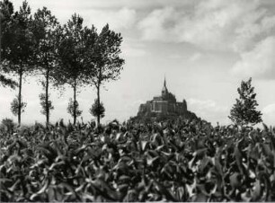 Blick über ein Maisfeld Richtung Mont St. Michel, Normandie