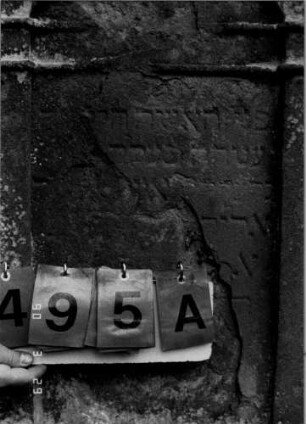 Grabstein 495 (neu: 494): Grabstein 495A (neu: 494)
