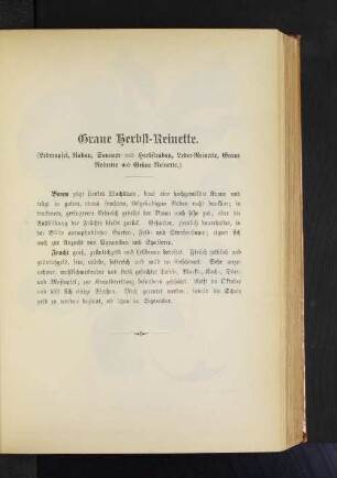 Graue Herbst-Reinette. (Lederapfel, Rabau, Sommer- und Herbstrabau, Leder-Reinette, Graue Reinette und Grüne Reinette.)