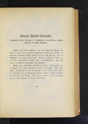 Graue Herbst-Reinette. (Lederapfel, Rabau, Sommer- und Herbstrabau, Leder-Reinette, Graue Reinette und Grüne Reinette.)
