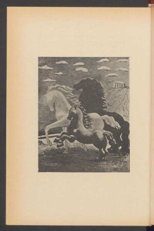 [Caballos con potros en el mar]