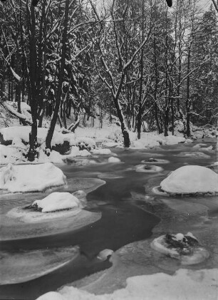 Gebirgsbach im Winter