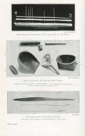 Drying-rack for blowpipie ... Besis apparatus for brewing dart-poison. Kuantan darts with poison spatula