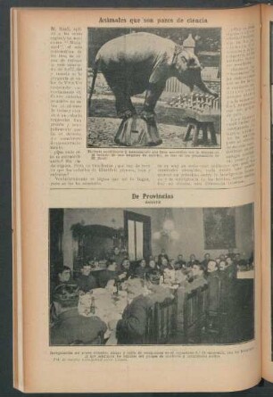 De Provincias