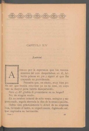 Capítulo XIV - ¡Ladrón!