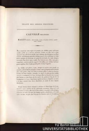 22. Calville Malingre. Malus aegra, fructu magno, costato, ad apicem coarctato, squalidè rubro, brumali.