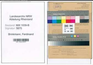 Entnazifizierung Ferdinand Brinkmann , geb. 26.12.1896 (Arbeiter)