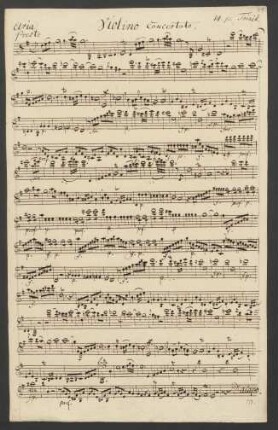 Violino concertato